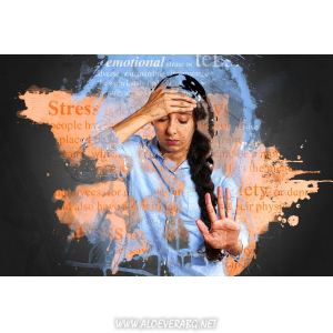 LR Комплект за Стрес, Тревожност и Лош Сън Mind-Night Master за По-малко Стрес и по-спокоен Сън