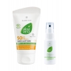 Комплект за Защита и Грижа за Кожата през Лятото LR Aloe Vera