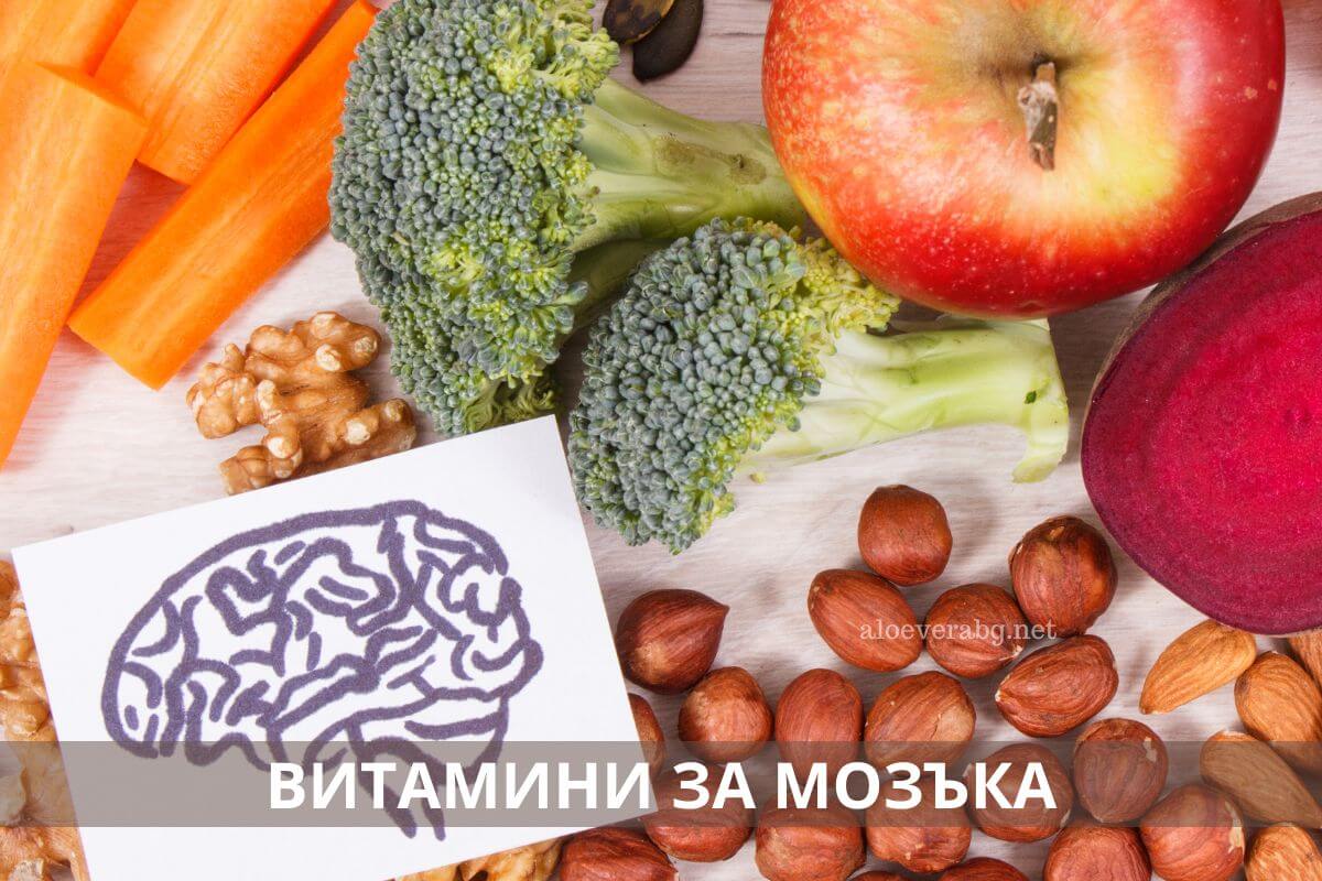 Ето кои са най-добрите витамини за мозъка