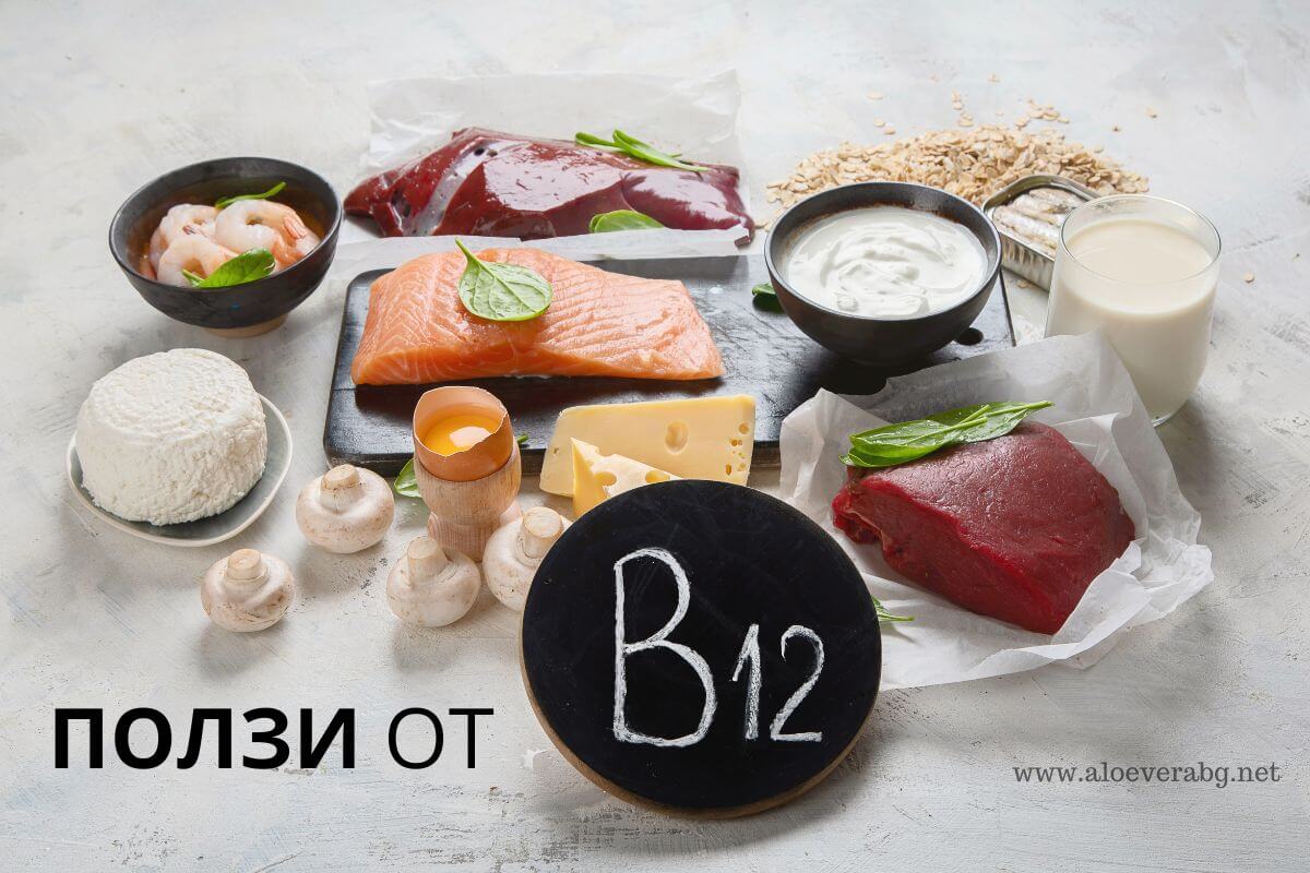 Какви са ползите от витамин B12?