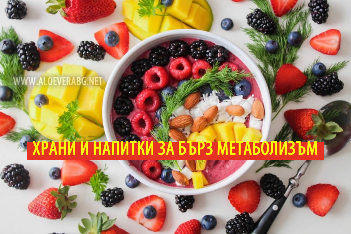 Метаболизъм - Вижте Кои храни и Напитки го ускоряват!
