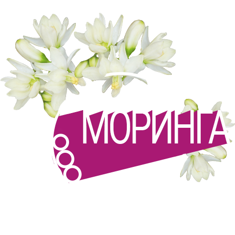 Екстрактът от моринга премахва от кожата мъртвите клетки и замърсяванията от околната среда, почиства в дълбочина и възпрепятства натрупването на нови замърсявания. Екстрактът от моринга премахва от кожата мъртвите клетки и замърсяванията от околната среда, почиства в дълбочина и възпрепятства натрупването на нови замърсявания.