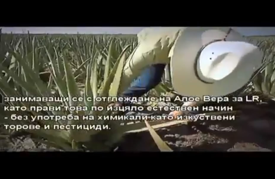 Как се произвежда гелът за пиене Алое Вера от LR?