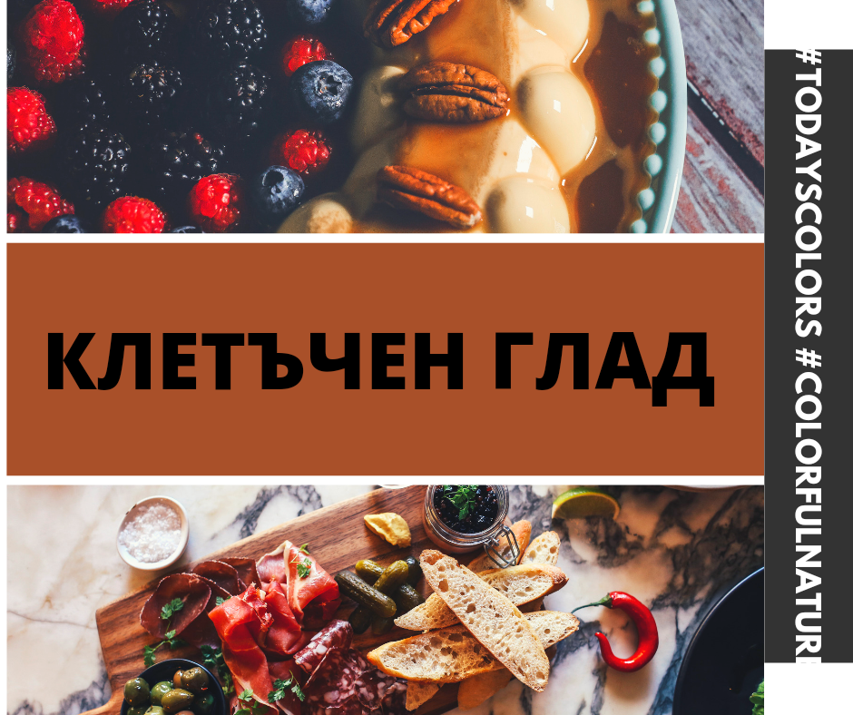 Защо не можем да отслабнем и се чустваме отпаднали?