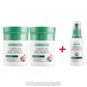 uli promo cistus