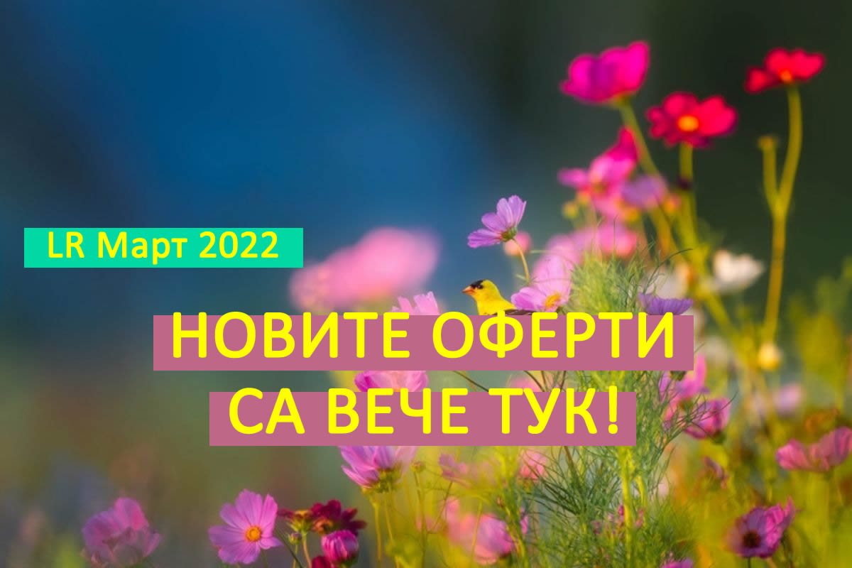 lr mart 2022
