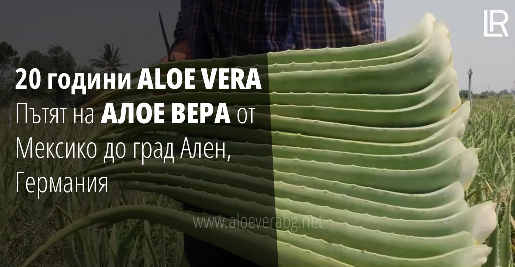 20 години ALOE VERA - Пътят на АЛОЕ ВЕРА от Мексико до град Ален, Германия